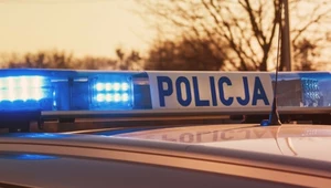 Sprawą znęcania się na kotkiem zajęła się policja