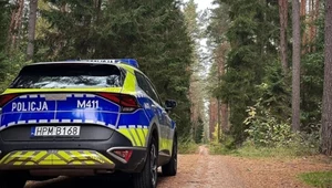 Śląskie. 14-latek przygnieciony przez konar drzewa